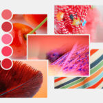 Moodboard zu roten Farbtönen