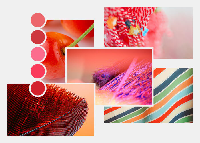 Moodboard zu roten Farbtönen