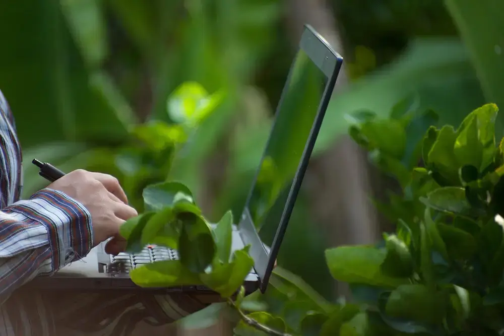 Laptop steht zwischen Pflanzen im Freien – Symbol für nachhaltiges Webdesign