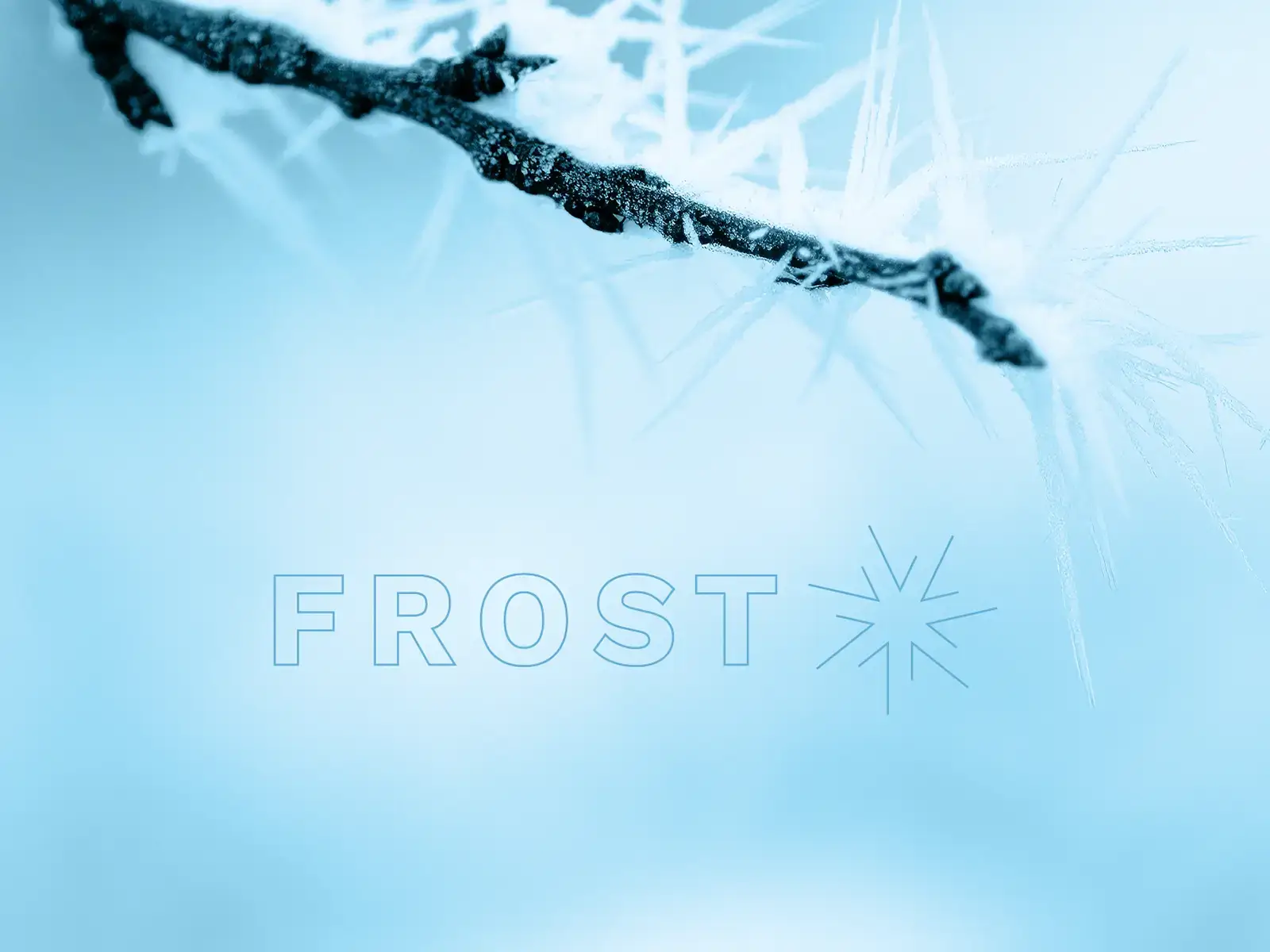 Das Logo "Frost" auf einem winterlichen Hintergrund