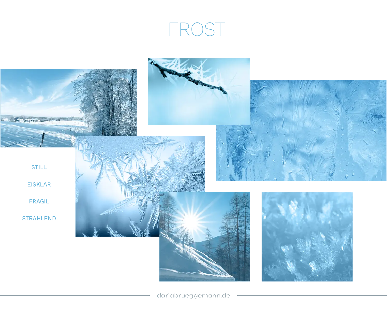 Ein Moodboard für das Branding "Frost"