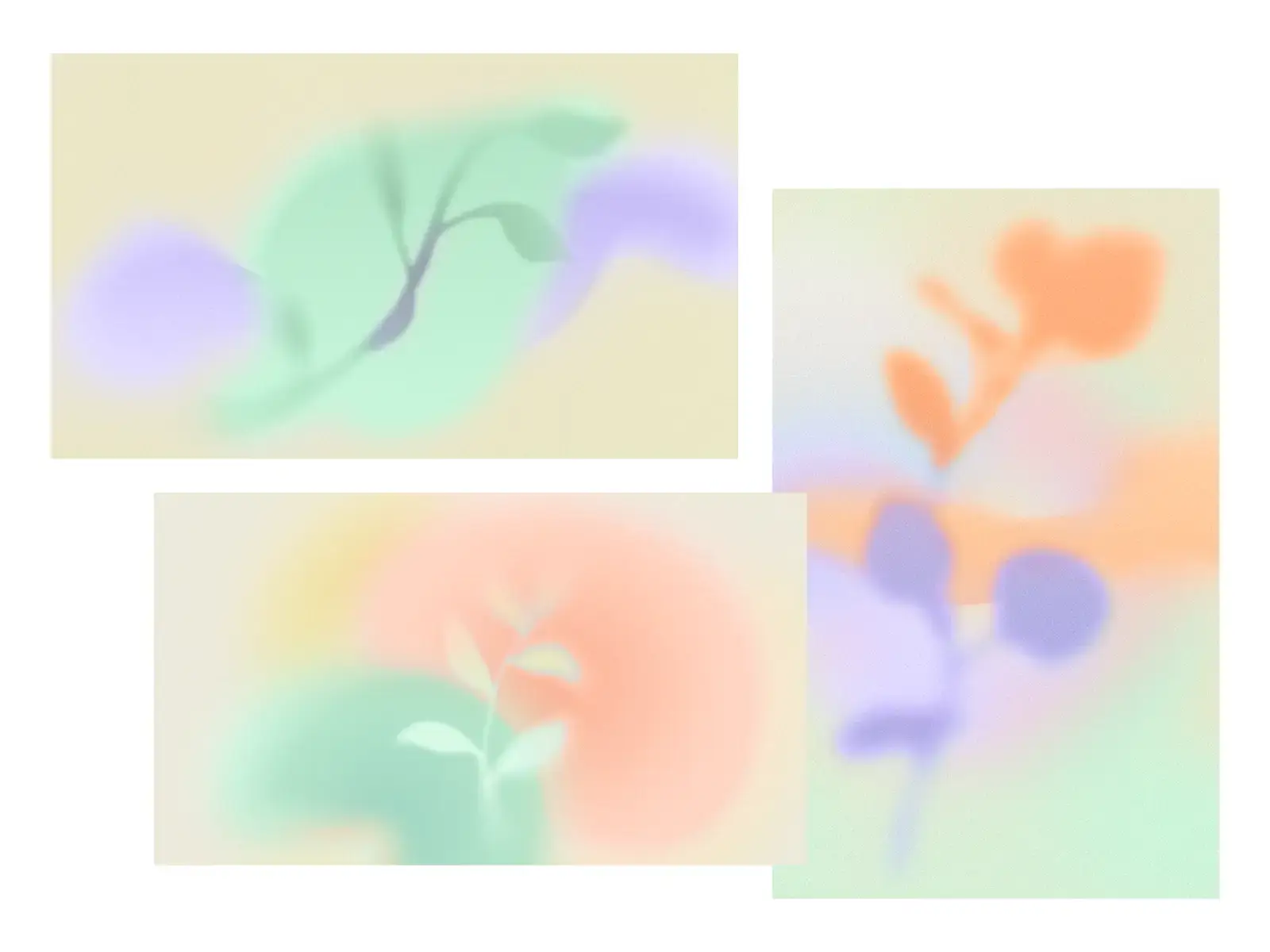 Illustrationen des Frühlingsbrandings "Flora"