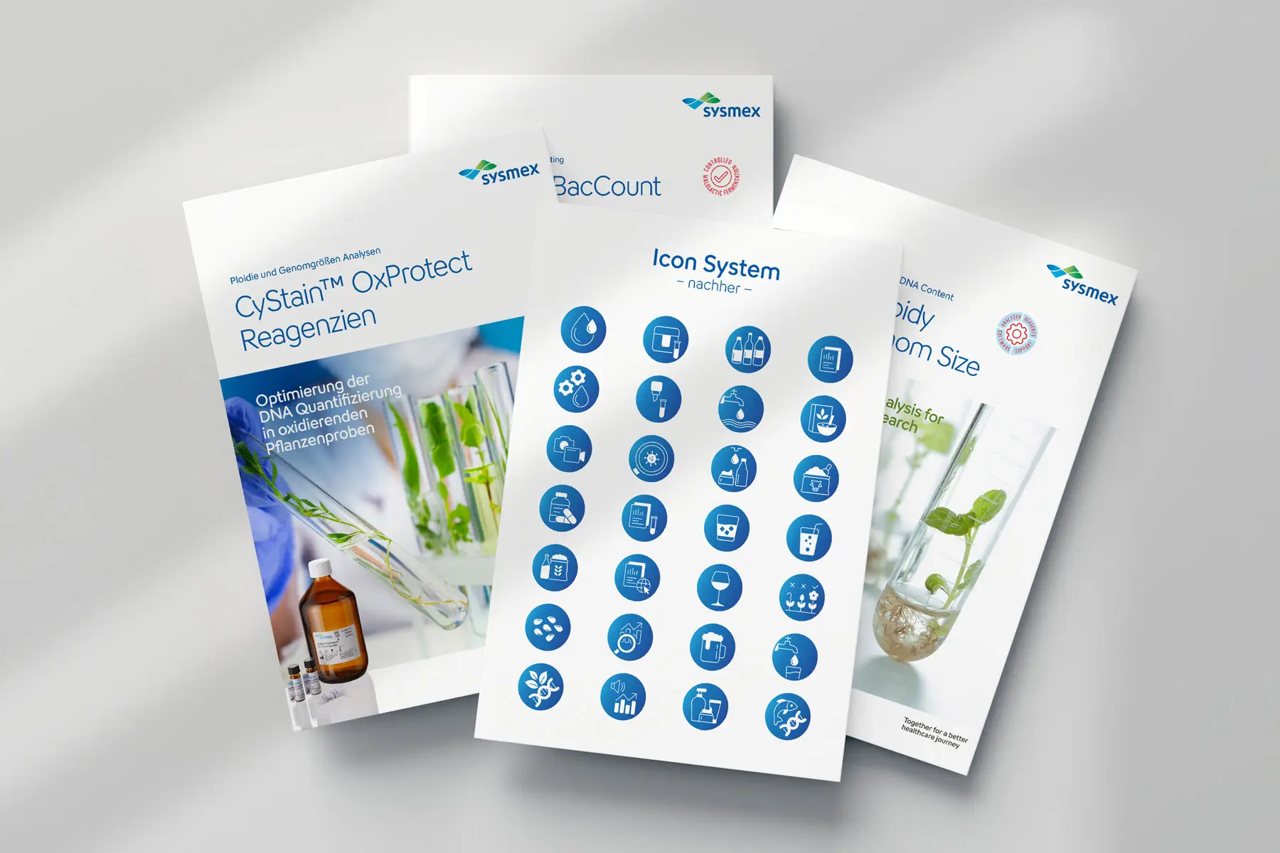 Icon-System und gedruckte Flyer als Mockup