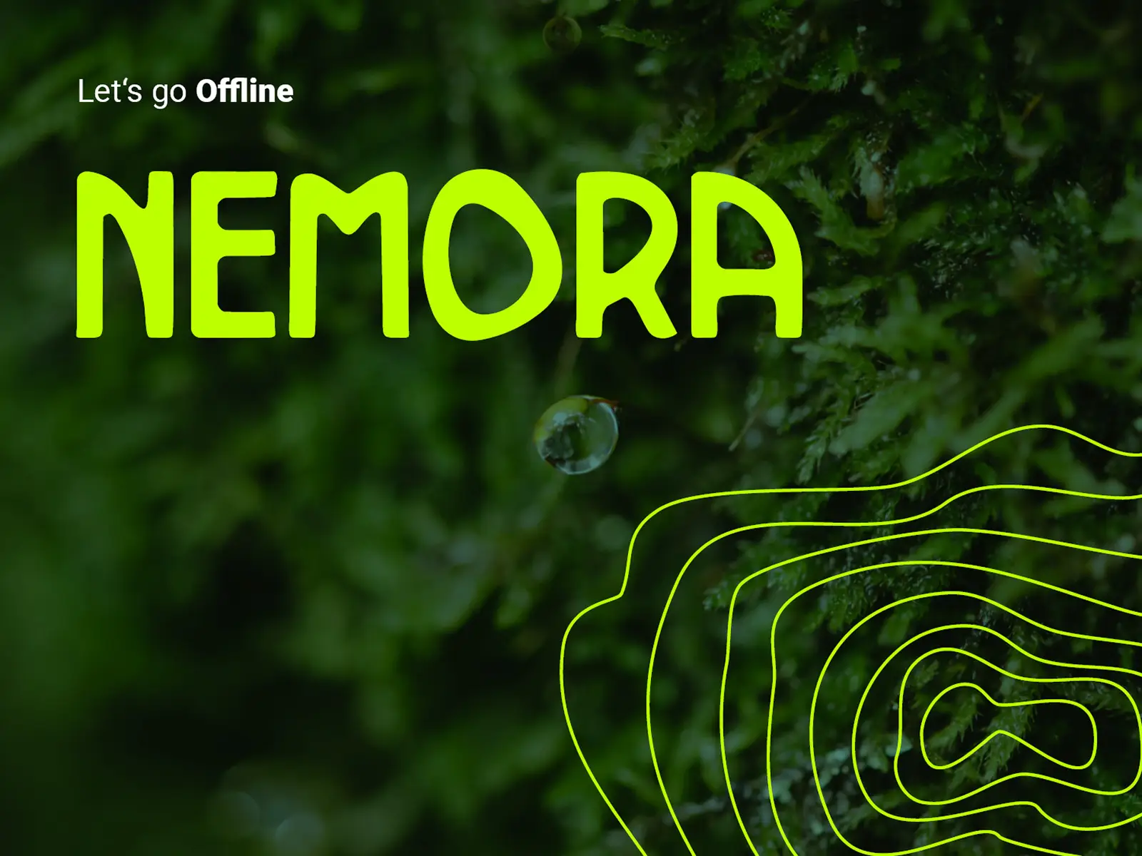 Muster für Nemora Wald-Branding