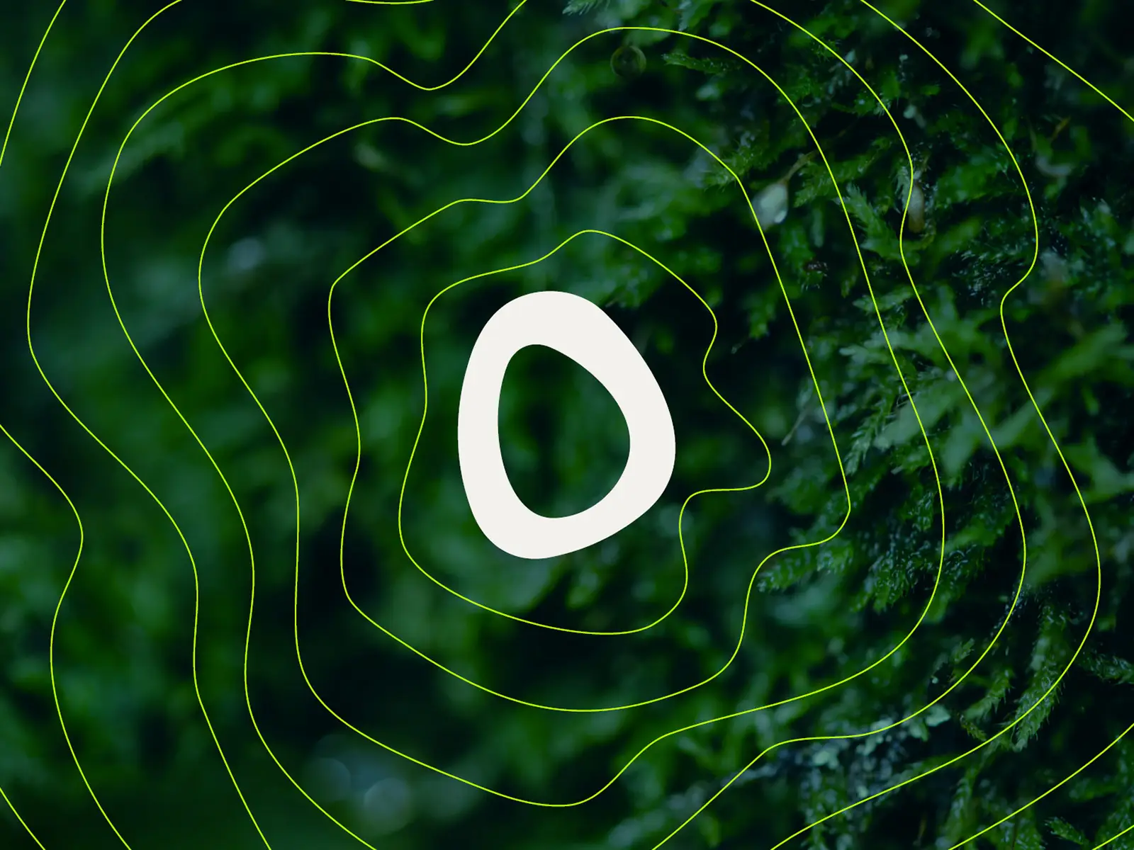 Muster für Nemora Wald-Branding