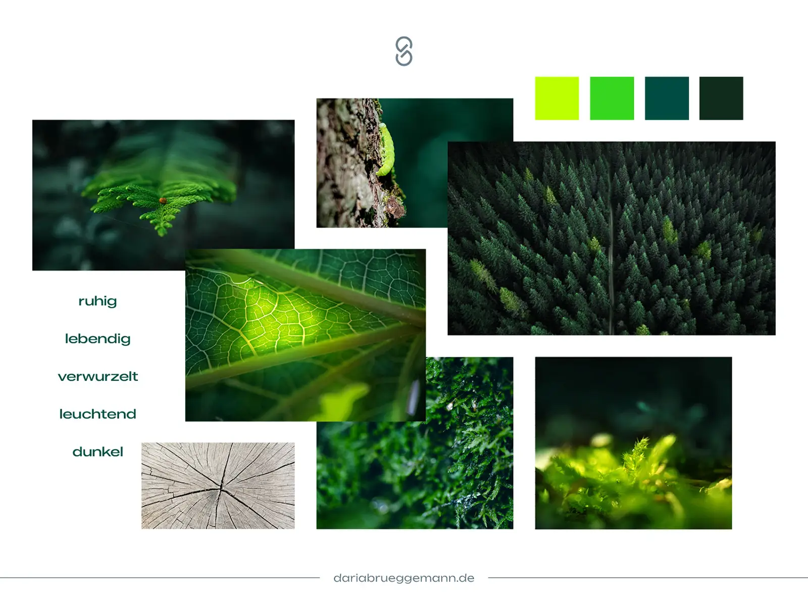 Moodboard für Nemora Wald-Branding